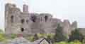 Denbigh Castle