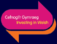 Investing in Welsh